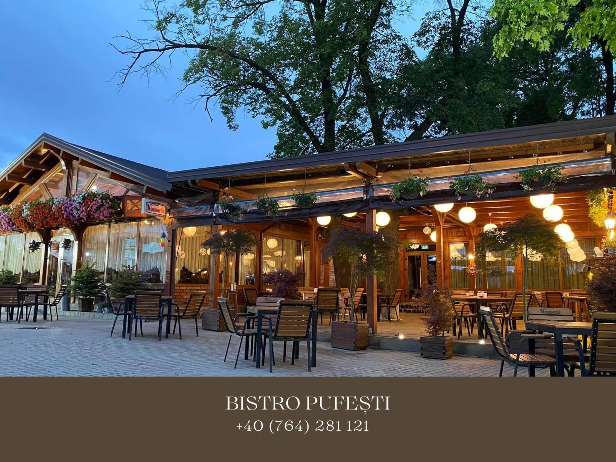 Cosy Apartments & Bistro Pufesti Exterior photo